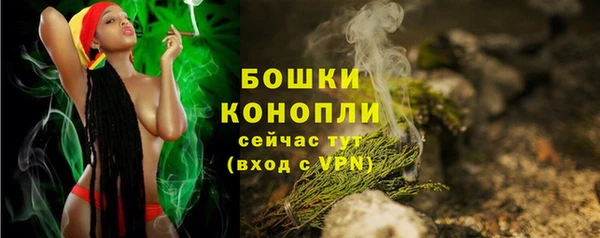 PSILOCYBIN Переславль-Залесский
