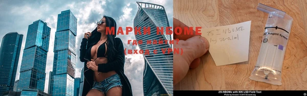 амф Пестово