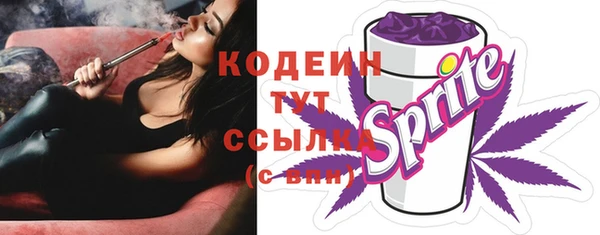 амф Пестово