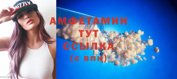 тгк Пересвет