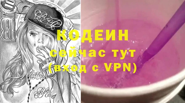 амф Пестово