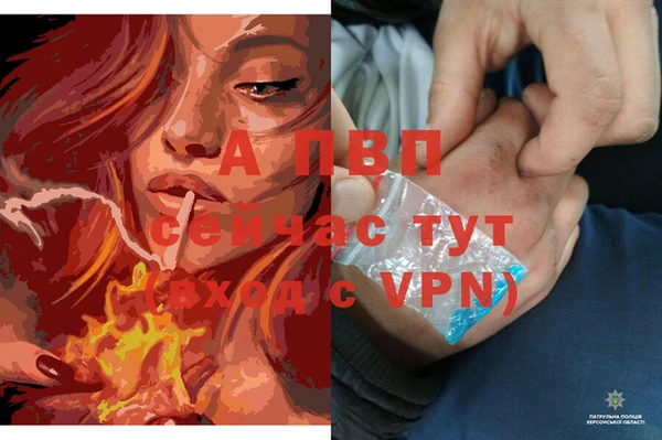 тгк Пересвет