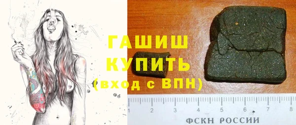 тгк Пересвет