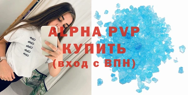 амф Пестово