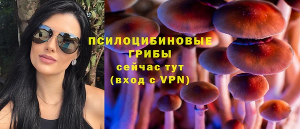 PSILOCYBIN Переславль-Залесский
