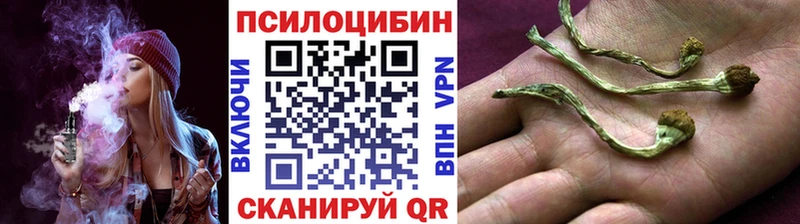 Галлюциногенные грибы GOLDEN TEACHER продажа наркотиков shop наркотические препараты Салаир